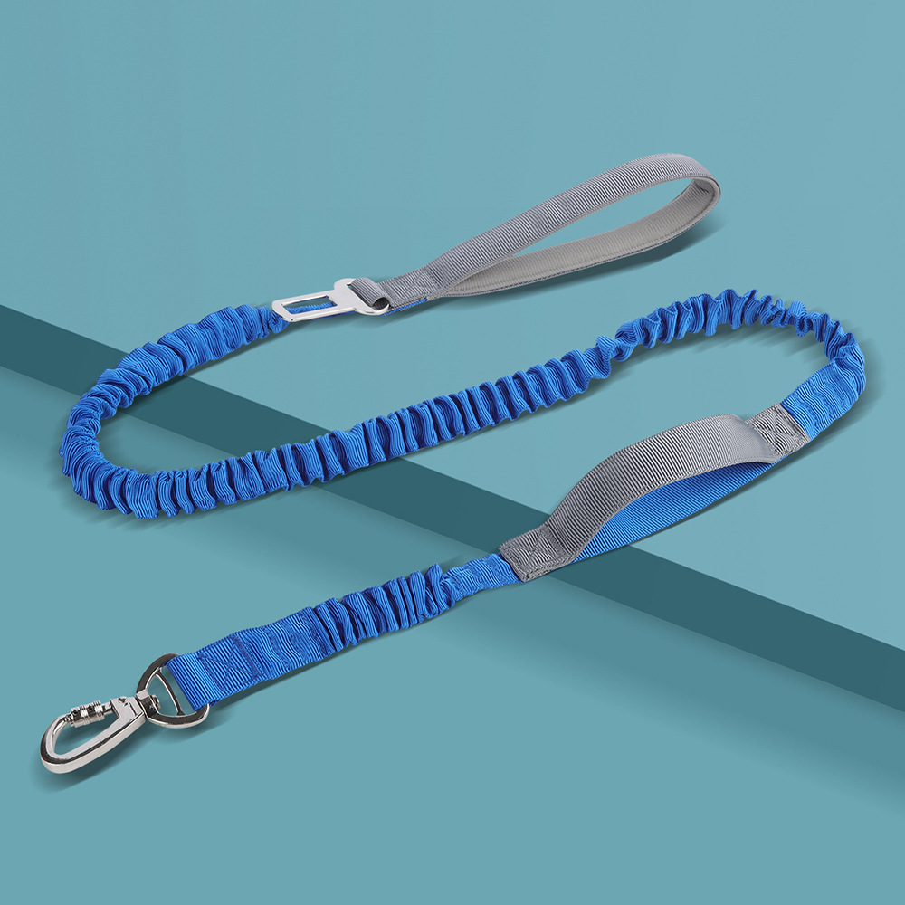 Bungee Dog Leash – Shock-Absorbing Elastic Pet Leash