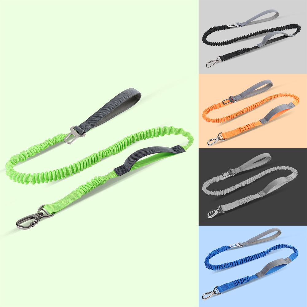Bungee Dog Leash – Shock-Absorbing Elastic Pet Leash