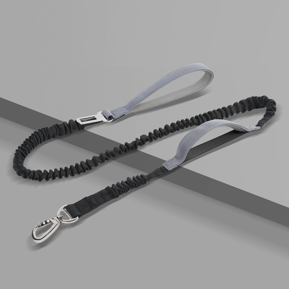 Bungee Dog Leash – Shock-Absorbing Elastic Pet Leash