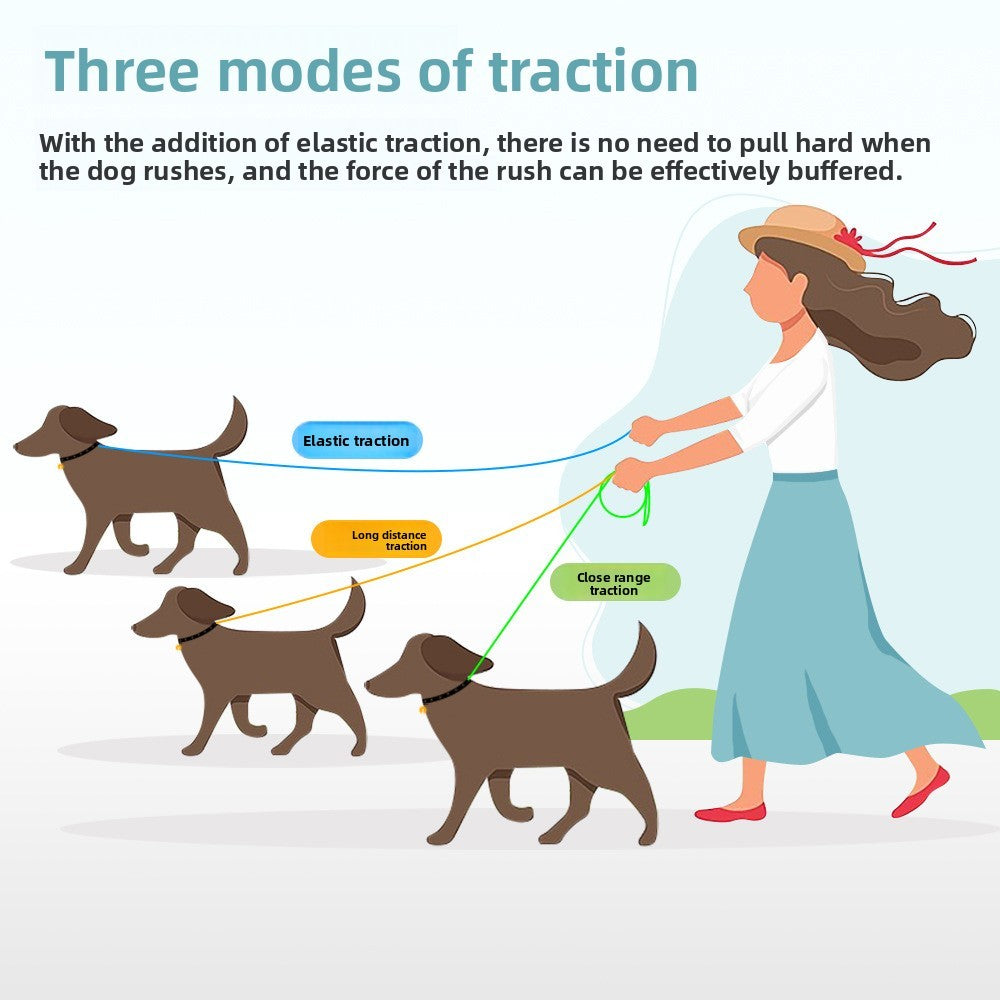 Bungee Dog Leash – Shock-Absorbing Elastic Pet Leash