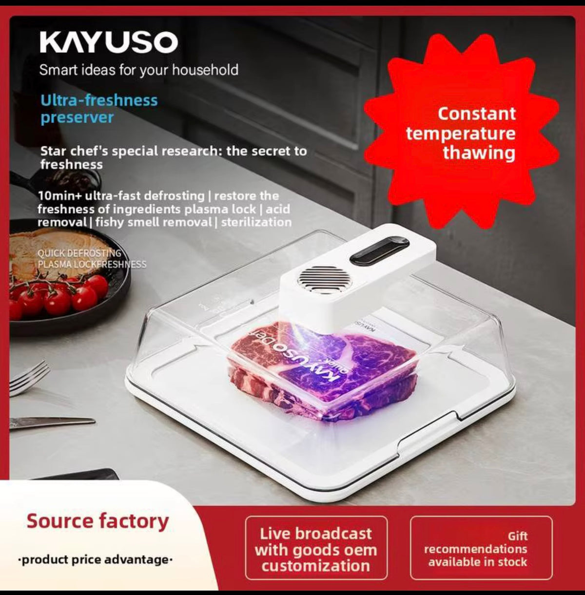 Rapid Defrosting Tray – Constant Temperature Thawing Board